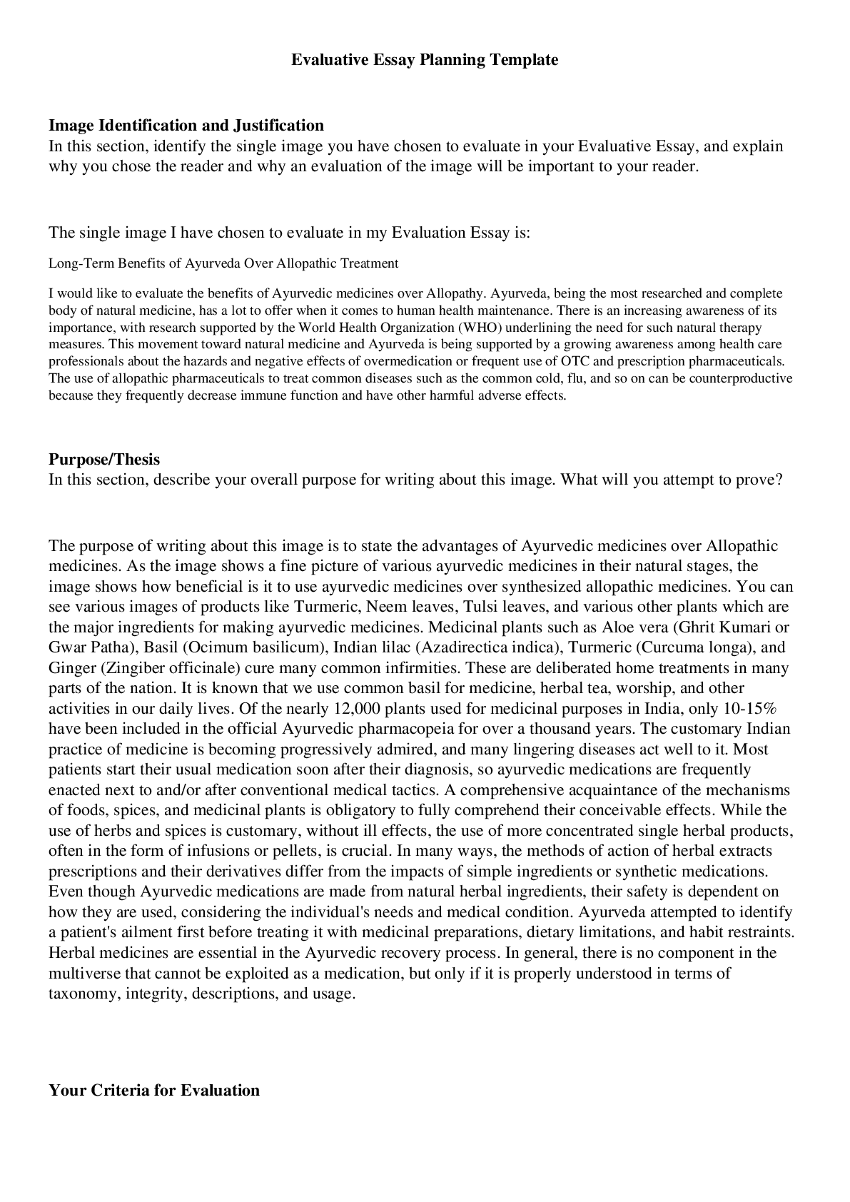 Preview image for Evaluative Essay Planning Template